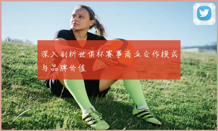 深入剖析世俱杯赛事商业合作模式与品牌价值