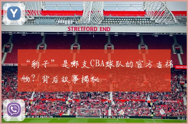 “豹子”是哪支CBA球队的官方吉祥物？背后故事揭秘